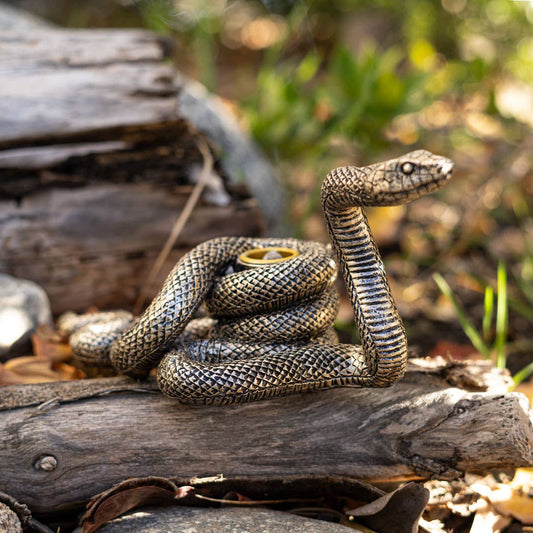 Snake Candle Holder